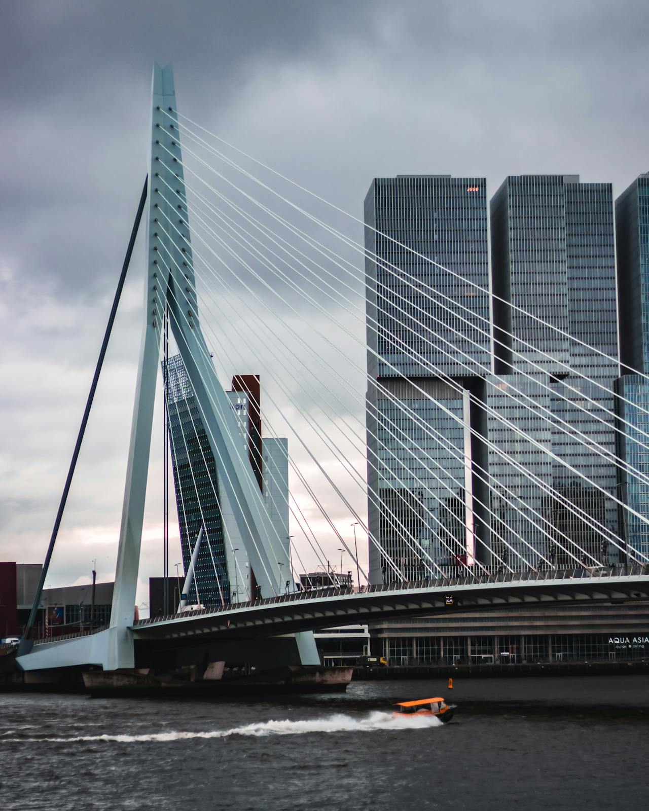 Van schets tot icoon: de architect van de Erasmusbrug