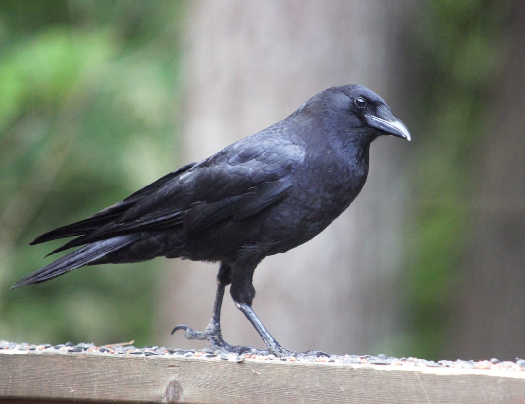 Het leven van Dave von Raven en zijn partner: liefde, muziek en veranderingen
