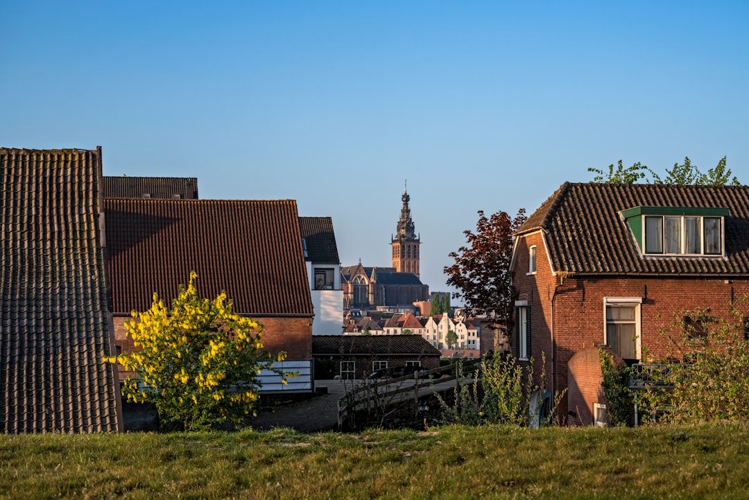Limburgse scheldwoorden: kleurrijk en uniek in het dialect