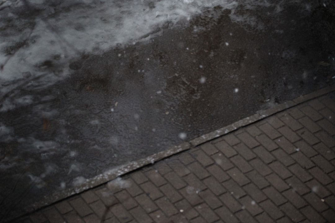 Vloeken en schelden op zijn Pools: bekende Poolse scheldwoorden uitgelegd