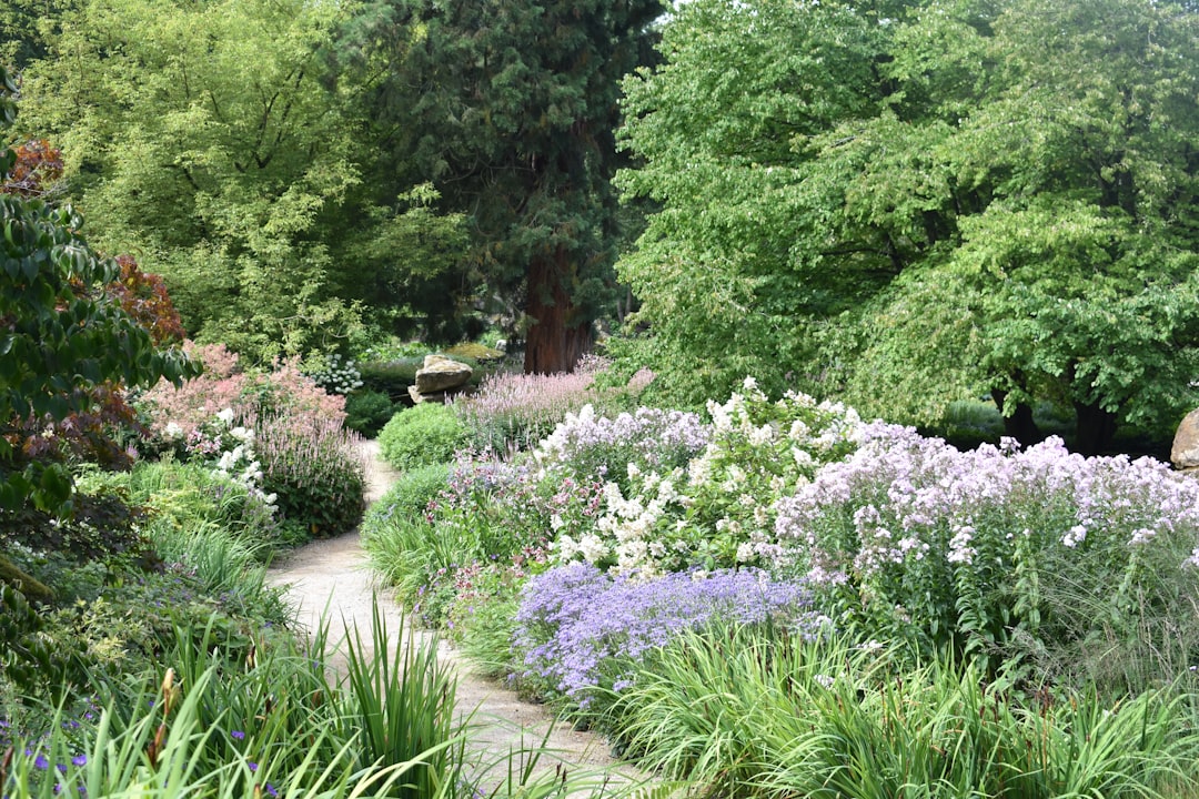 Tuinontwerp voorbeelden: zo vind je stijl die bij jouw tuin past